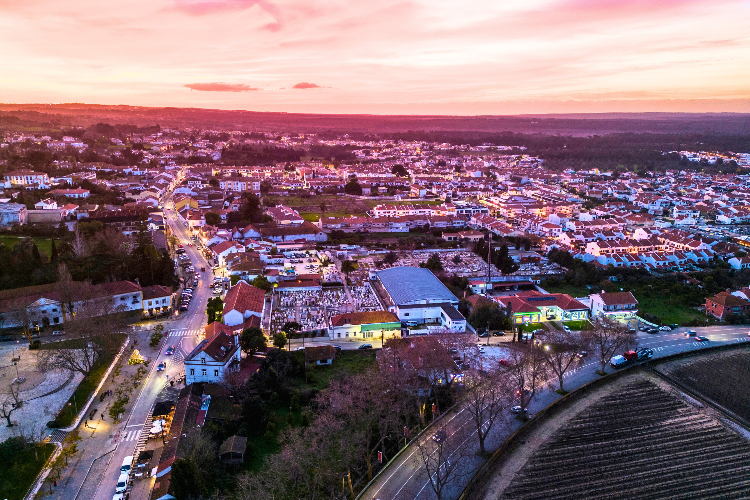 azeitão (3).webp
